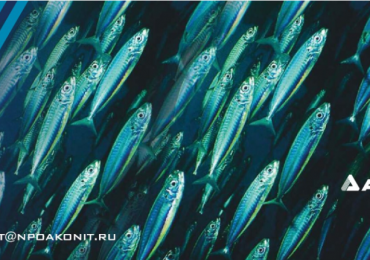 Каталог Аконит